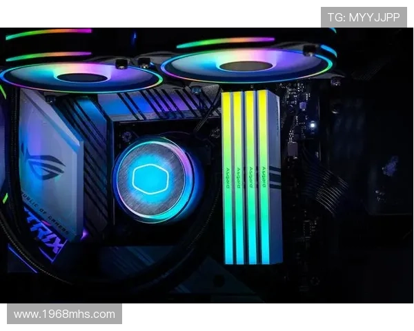 九游真人平台技术支持与客服服务介绍，确保玩家享受无忧游戏体验